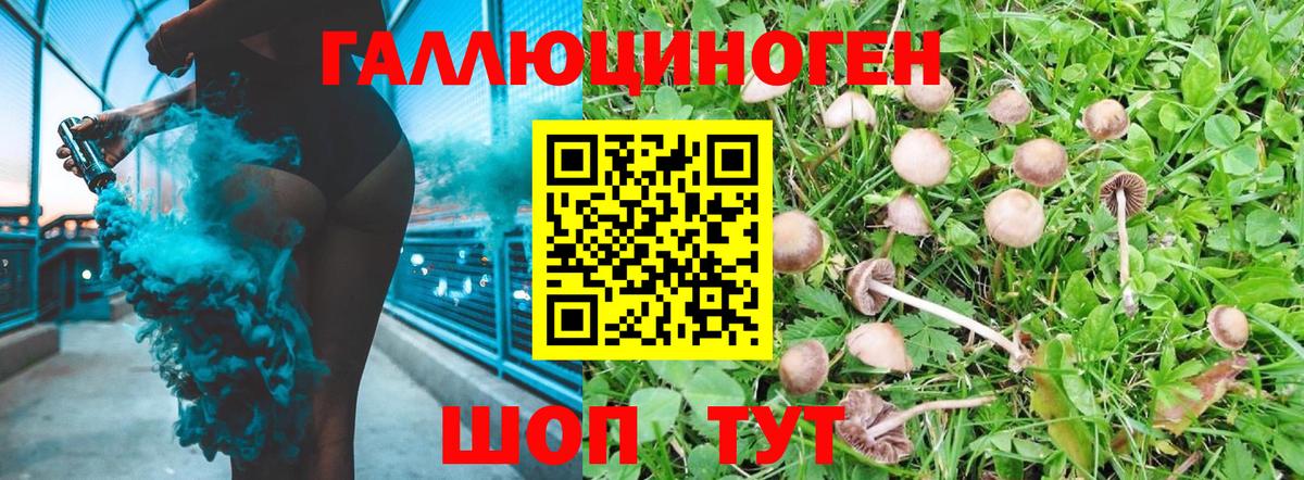Котлас  Псилоцибиновые грибы GOLDEN TEACHER  Вход с VPN 